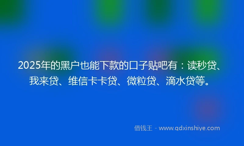 2025年的黑户也能下款的口子贴吧有：读秒贷、我来贷、维信卡卡贷、微粒贷、滴水贷等。
