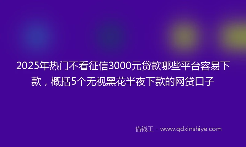 2025年热门不看征信3000元贷款哪些平台容易下款，概括5个无视黑花半夜下款的网贷口子