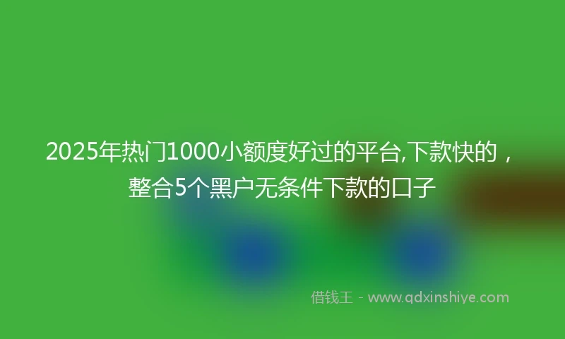 2025年热门1000小额度好过的平台,下款快的，整合5个黑户无条件下款的口子
