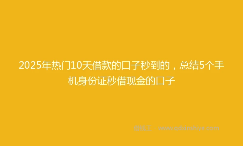 2025年热门10天借款的口子秒到的，总结5个手机身份证秒借现金的口子