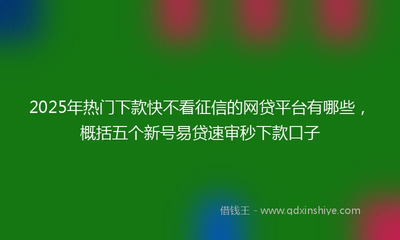 2025年热门下款快不看征信的网贷平台有哪些，概括五个新号易贷速审秒下款口子