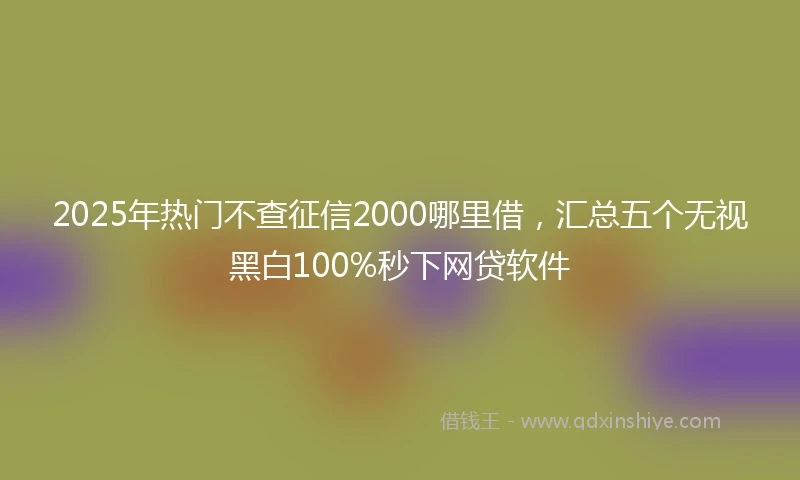 2025年热门不查征信2000哪里借，汇总五个无视黑白100%秒下网贷软件