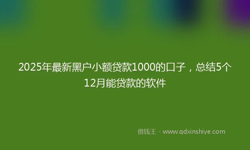 2025年最新黑户小额贷款1000的口子，总结5个12月能贷款的软件