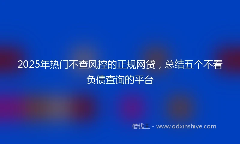 2025年热门不查风控的正规网贷,总结五个不看负债查询的平台