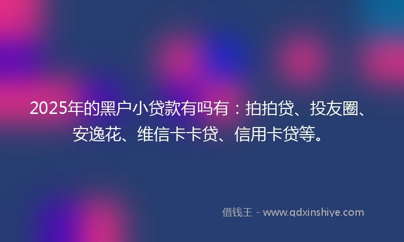 2025年的黑户小贷款有吗有：拍拍贷、投友圈、安逸花、维信卡卡贷、信用卡贷等。