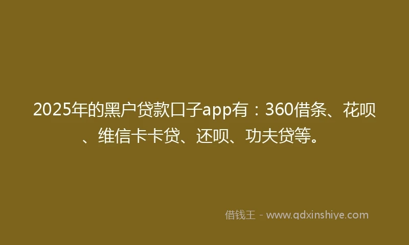 2025年的黑户贷款口子app有：360借条、花呗、维信卡卡贷、还呗、功夫贷等。