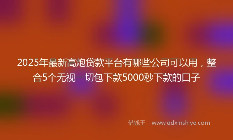 2025年最新高炮贷款平台有哪些公司可以用，整合5个无视一切包下款5000秒下款的口子