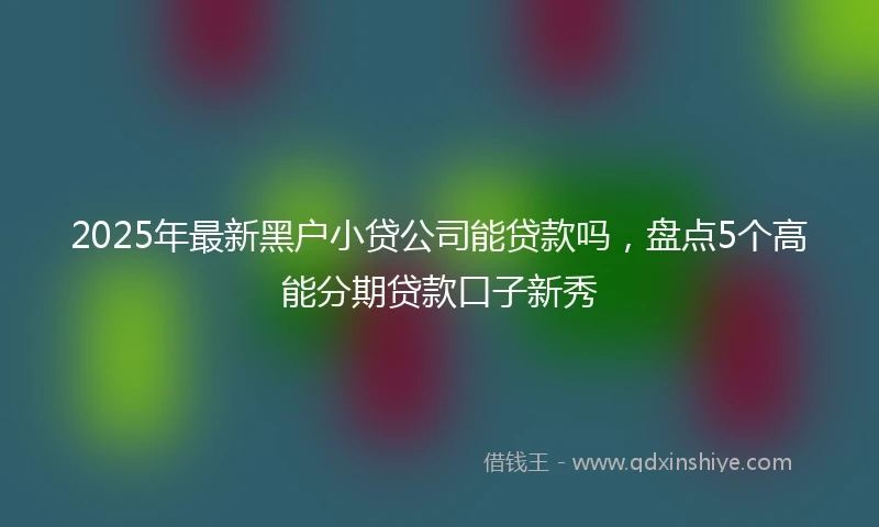 2025年最新黑户小贷公司能贷款吗，盘点5个高能分期贷款口子新秀