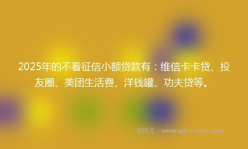 2025年的不看征信小额贷款有：维信卡卡贷、投友圈、美团生活费、洋钱罐、功夫贷等。