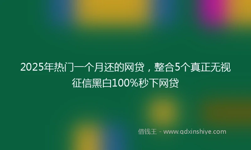 2025年热门一个月还的网贷，整合5个真正无视征信黑白100%秒下网贷