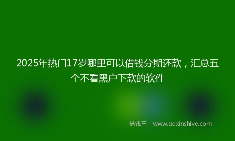 2025年热门17岁哪里可以借钱分期还款，汇总五个不看黑户下款的软件