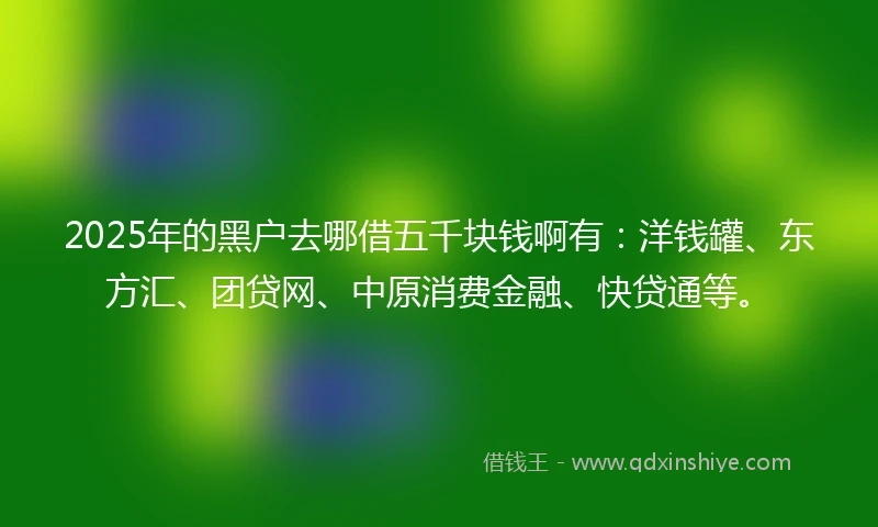 2025年的黑户去哪借五千块钱啊有:洋钱罐、东方汇、团贷网、中原消费金融、快贷通等。