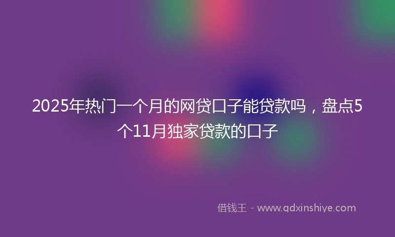 2025年热门一个月的网贷口子能贷款吗,盘点5个11月独家贷款的口子