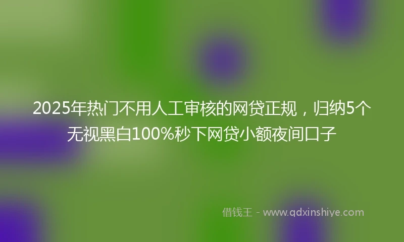 2025年热门不用人工审核的网贷正规，归纳5个无视黑白100%秒下网贷小额夜间口子