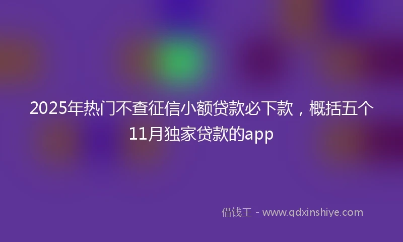 2025年热门不查征信小额贷款必下款，概括五个11月独家贷款的app
