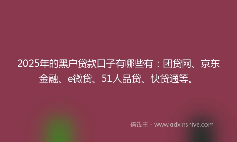 2025年的黑户贷款口子有哪些有：团贷网、京东金融、e微贷、51人品贷、快贷通等。