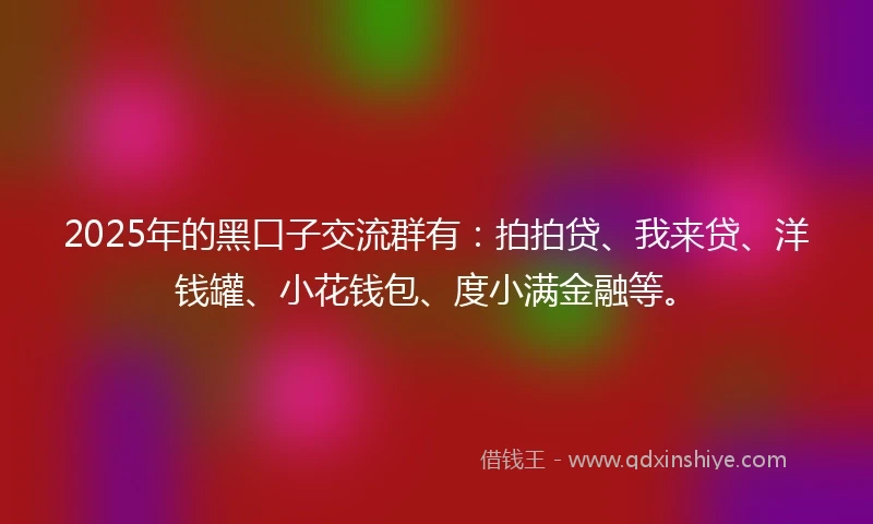 2025年的黑口子交流群有：拍拍贷、我来贷、洋钱罐、小花钱包、度小满金融等。