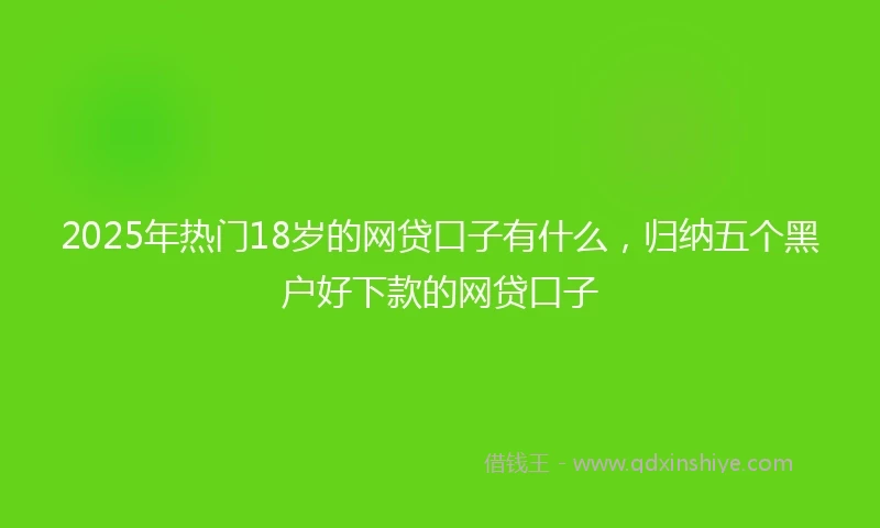 2025年热门18岁的网贷口子有什么，归纳五个黑户好下款的网贷口子
