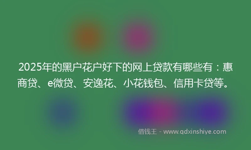 2025年的黑户花户好下的网上贷款有哪些有：惠商贷、e微贷、安逸花、小花钱包、信用卡贷等。