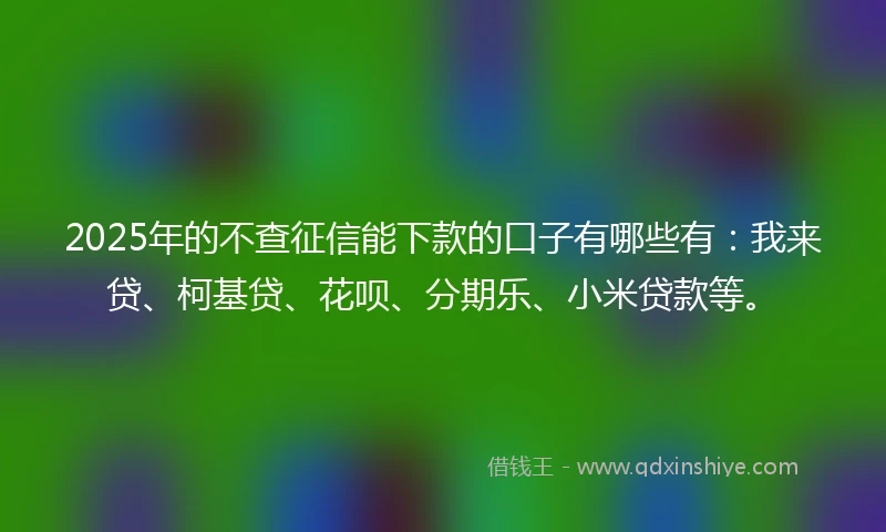 2025年的不查征信能下款的口子有哪些有：我来贷、柯基贷、花呗、分期乐、小米贷款等。