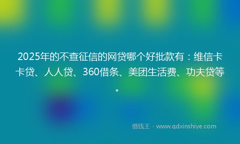 2025年的不查征信的网贷哪个好批款有：维信卡卡贷、人人贷、360借条、美团生活费、功夫贷等。