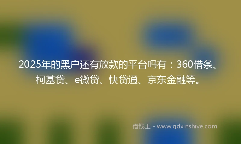 2025年的黑户还有放款的平台吗有：360借条、柯基贷、e微贷、快贷通、京东金融等。