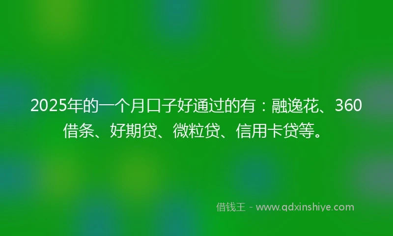 2025年的一个月口子好通过的有：融逸花、360借条、好期贷、微粒贷、信用卡贷等。