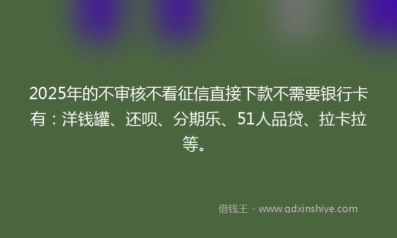 2025年的不审核不看征信直接下款不需要银行卡有：洋钱罐、还呗、分期乐、51人品贷、拉卡拉等。