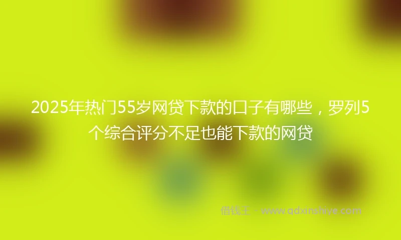 2025年热门55岁网贷下款的口子有哪些，罗列5个综合评分不足也能下款的网贷
