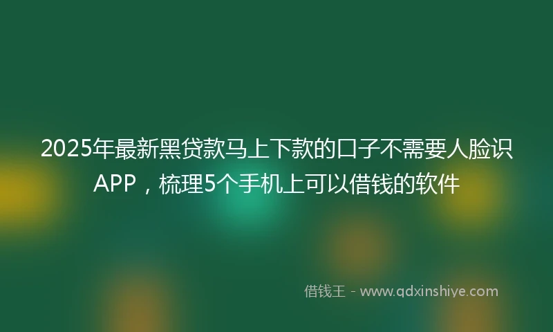 2025年最新黑贷款马上下款的口子不需要人脸识APP，梳理5个手机上可以借钱的软件