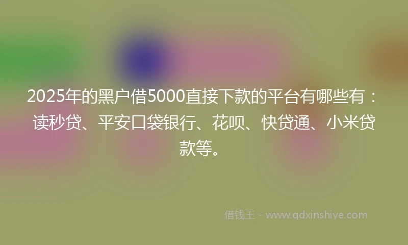 2025年的黑户借5000直接下款的平台有哪些有:读秒贷、平安口袋银行、花呗、快贷通、小米贷款等。