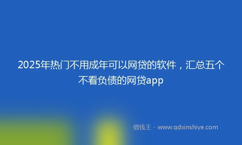 2025年热门不用成年可以网贷的软件，汇总五个不看负债的网贷app
