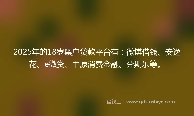2025年的18岁黑户贷款平台有：微博借钱、安逸花、e微贷、中原消费金融、分期乐等。