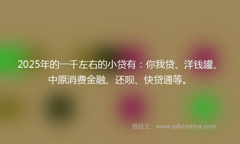 2025年的一千左右的小贷有：你我贷、洋钱罐、中原消费金融、还呗、快贷通等。