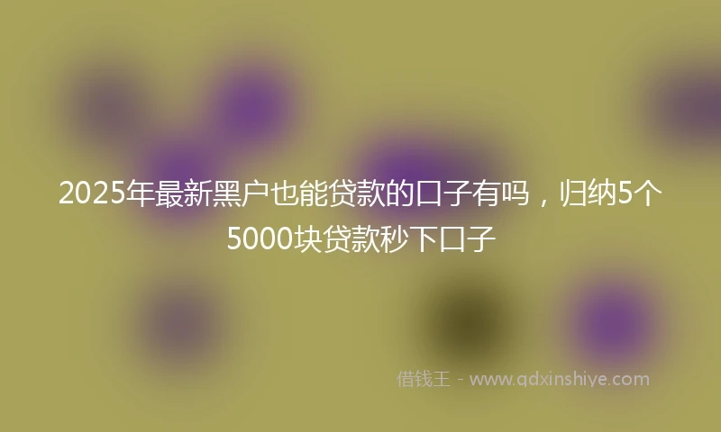 2025年最新黑户也能贷款的口子有吗，归纳5个5000块贷款秒下口子