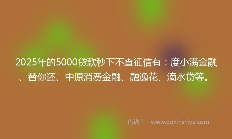 2025年的5000贷款秒下不查征信有：度小满金融、替你还、中原消费金融、融逸花、滴水贷等。