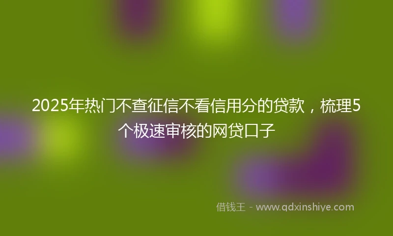 2025年热门不查征信不看信用分的贷款，梳理5个极速审核的网贷口子