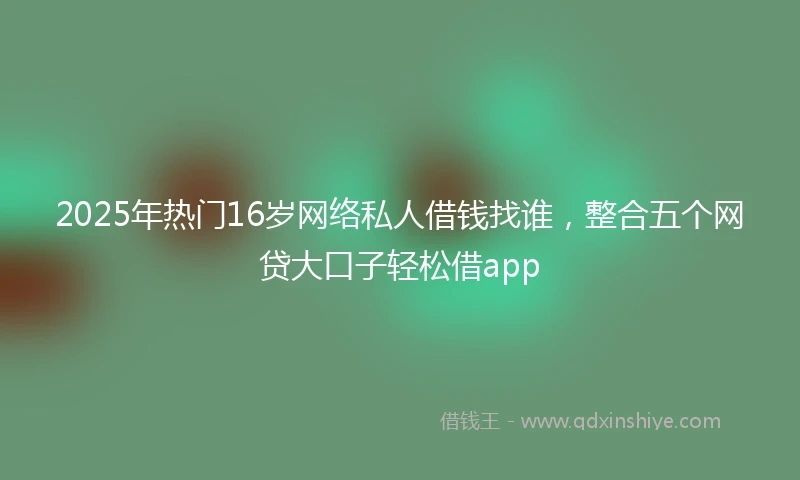 2025年热门16岁网络私人借钱找谁，整合五个网贷大口子轻松借app