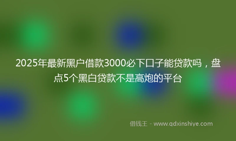 2025年最新黑户借款3000必下口子能贷款吗，盘点5个黑白贷款不是高炮的平台