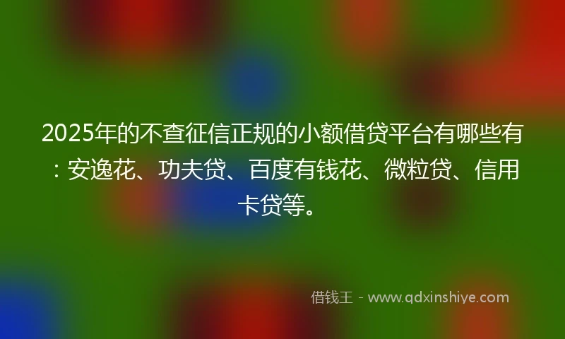 2025年的不查征信正规的小额借贷平台有哪些有：安逸花、功夫贷、百度有钱花、微粒贷、信用卡贷等。