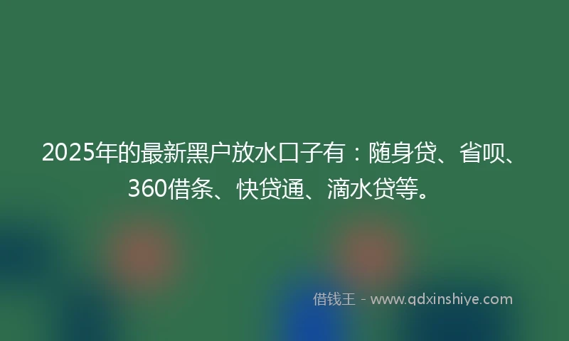 2025年的最新黑户放水口子有：随身贷、省呗、360借条、快贷通、滴水贷等。