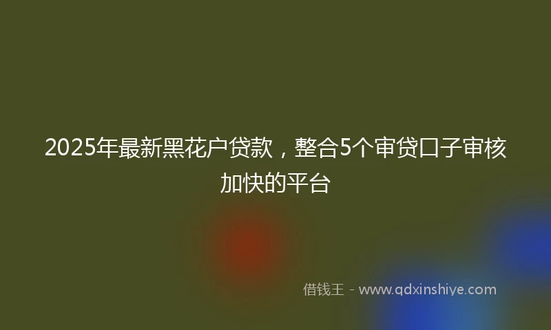 2025年最新黑花户贷款，整合5个审贷口子审核加快的平台