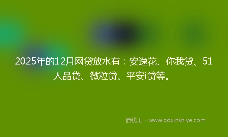 2025年的12月网贷放水有：安逸花、你我贷、51人品贷、微粒贷、平安i贷等。
