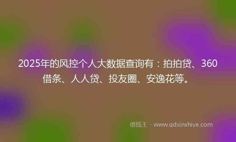 2025年的风控个人大数据查询有：拍拍贷、360借条、人人贷、投友圈、安逸花等。