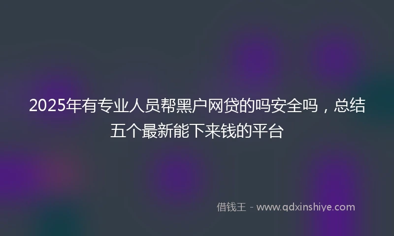 2025年有专业人员帮黑户网贷的吗安全吗，总结五个最新能下来钱的平台