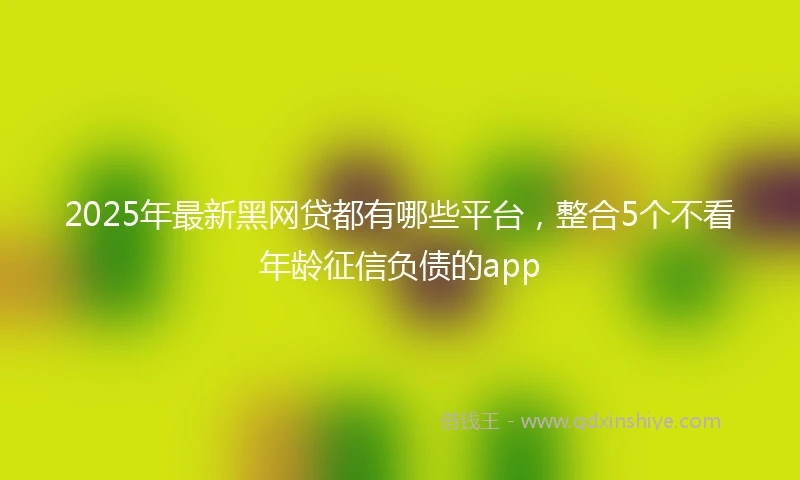 2025年最新黑网贷都有哪些平台，整合5个不看年龄征信负债的app
