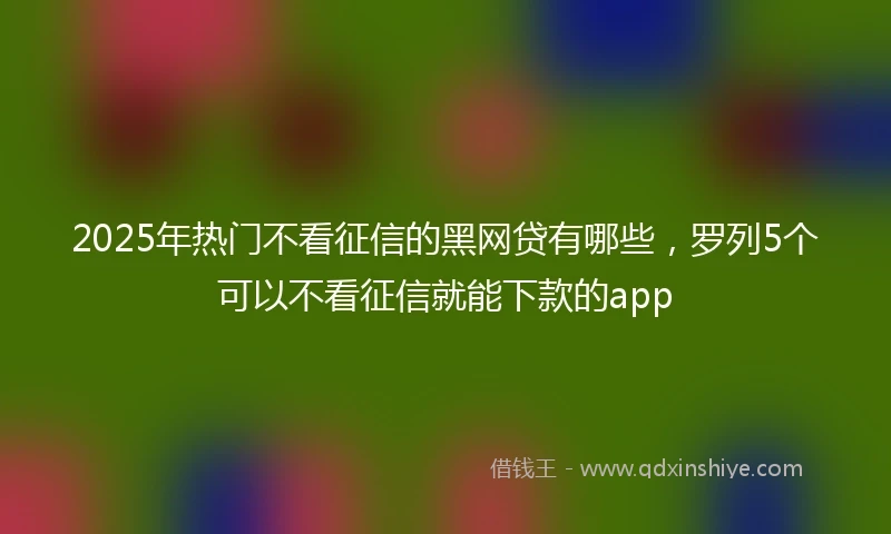 2025年热门不看征信的黑网贷有哪些,罗列5个可以不看征信就能下款的app