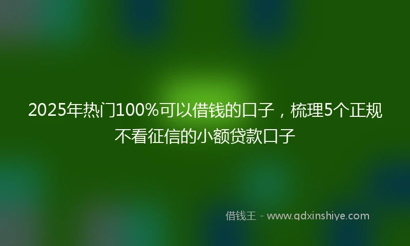 2025年热门100%可以借钱的口子，梳理5个正规不看征信的小额贷款口子