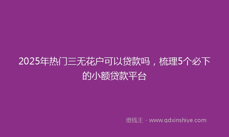 2025年热门三无花户可以贷款吗，梳理5个必下的小额贷款平台
