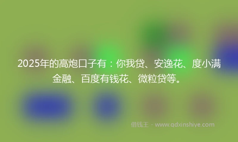2025年的高炮口子有:你我贷、安逸花、度小满金融、百度有钱花、微粒贷等。